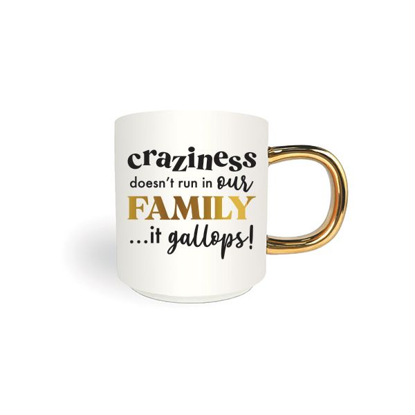 Motto Mug, Craziness doesn't run in our Family