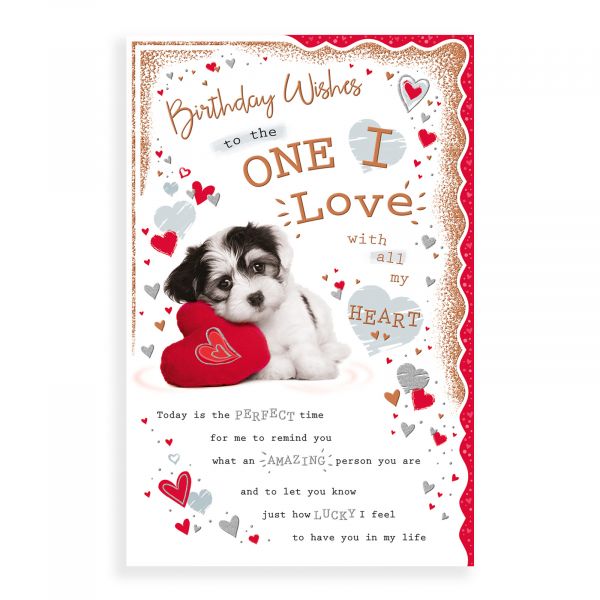 Birthday Card One I Love, Puppy Heart Cushion
